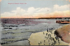 Postcard CA Seagulls At Newport Beach Pier California 1909 picture