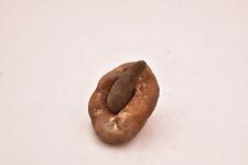 SMALL Northern California Mortar Bowl Pestle Native American-Indian Artifact. picture