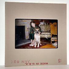 Vintage 60s 35mm Slide Woman Posed In Living Room With Her Dog picture