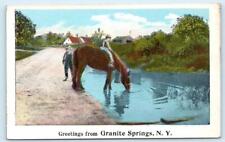 Greetings From GRANITE SPRINGS, NY ~ Boy on HORSE c1920s Westchester County picture