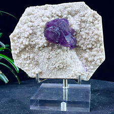 1.98LB Natural Tanzanite Purple Fluorite Tanzanite Coexisting Mineral Roughness picture