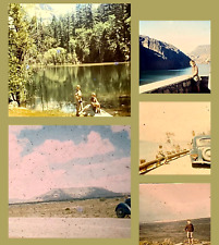 LOT 30 Rare EARLY 1941 YOSEMITE Yellowstone CALIFORNIA Slide Photos SLIDES   WW2 picture