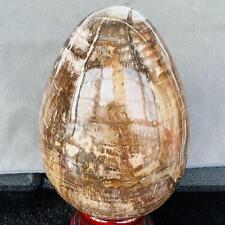 Natural Wood Fossil Decoration Polished Wood Grain Fossil Decor Crystal 4.59LB picture