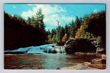 Oakland MD- Maryland, Swallow Falls, Antique, Vintage Souvenir Postcard picture