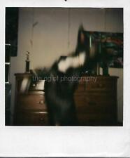 HANDSTAND ABSTRACT Vintage POLAROID Found Original Photograph COLOR 32 49 C picture