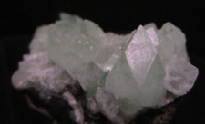 * Exceptional Array of Terminated Green Apophyllite Crystals picture
