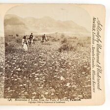 Jericho Plain Judaean Mountains Stereoview c1896 Palestine Israel Field A2019 picture
