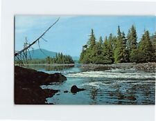 Postcard Butze Rapids British Columbia Canada picture