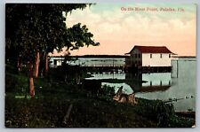 Postcard On The River Front Palatka Florida Dock Boat House c 1910 Antique Rare picture
