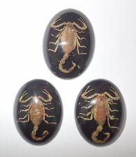 Insect Cabochon Golden Scorpion Oval 30x40 mm on Black bottom 3 pieces Lot picture