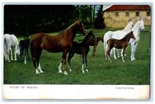 1908 Study Of Horses Animals Hopewell New Jersey NJ Posted Antique Postcard picture