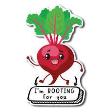 I'm Rooting For You Cute Funny Plant Succulent Magnet Decal, 5 inches picture