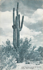 Hermit Trail  El Tover Grand Canyon Arizona AZ pm 1949 Postcard picture