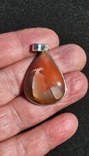 Authentic Arizona rainbow petrified wood pendant sterling silver  picture