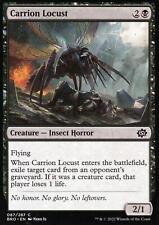 4x Carrion Locust | NM/M | The Brothers' War | Magic MTG picture