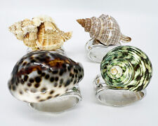 HANS TURNWALD Set of 4 Silver Plated Real African Shell Napkin Rings Beach Decor picture