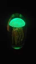 Glass Jellyfish Paperweight Orange In Clear Glass, Glows Under Balck Light 5