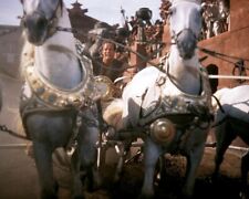 Ben Hur classic chariot race Charlton Heston and horses 24x36 inch Poster picture