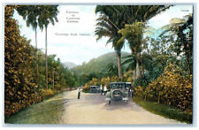 c1910 Entrance to Castleton Gardens Greetings from Jamaica Unposted Postcard picture