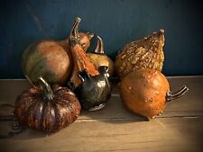 The Salem Collection Resin Faux Fall Country Primitive Pumpkin Gourds Mini Set 6 picture