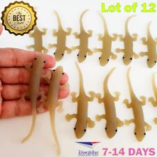 12 Pcs Realistic Lizard Figures Rubber Animal Fake Toys Birthday Gift April Fool picture