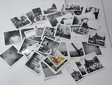 Lot of 25+ Vintage Polaroid Photos Farm Animals People Funny Parade Ephemera picture