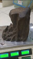 WILD RARE 1400 GRAMS INDONESIAN SULAWESI OUD DECORATION HIGH QUALITY AGARWOOD picture