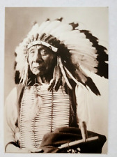 Red Cloud War Chief of the Iteshica Native American Indian Postcard 2003 picture