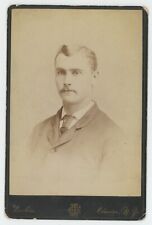 Antique Circa 1880s Cabinet Card Handsome Man With Mustache Larkin Elmira, NY picture