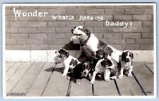 Pre-1907 RPPC ROTOGRAPH HOUND DOGS PUPPIES WONDER WHAT'S KEEPING DADDY POSTCARD picture