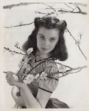 HOLLYWOOD BEAUTY VIVIEN LEIGH GONE WITH WIND STUNNING PORTRAIT 1950s Photo 536 picture