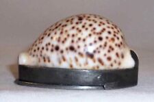 Antique English Cowrie Shell Pocket Snuffbox Snuff Box Pewter Mounted Hinged Lid picture