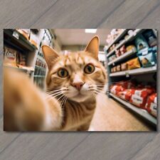 POSTCARD: Adorable Kitty Selfie - Captivating Gaze Pet Food Supermarket 🛒🐾 picture