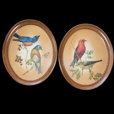 TRUART PRODUCT BIRDS PICTURE FRAMES OVAL 8x10 MID CENTURY picture