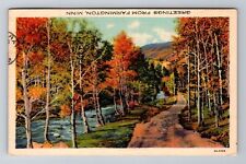 Farmington MN-Minnesota, General Greetings, c1935 Antique Vintage Postcard picture