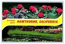 1964 Greetings From Hawthorne California CA Flowers Postcard picture