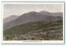 c1920s On the Bridle Path, White Mountains New Hampshire NH Postcard picture