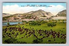 TX-Texas, Aerial Round Up In West Texas, Antique, Vintage Postcard picture