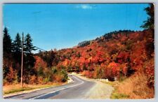 Fall Colors, Roadside Scene, Greetings From Pompton Lakes NJ, 1967 Postcard picture