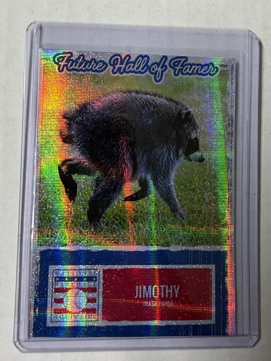 Jimothy The Raccoon Custom Art Aceo Card