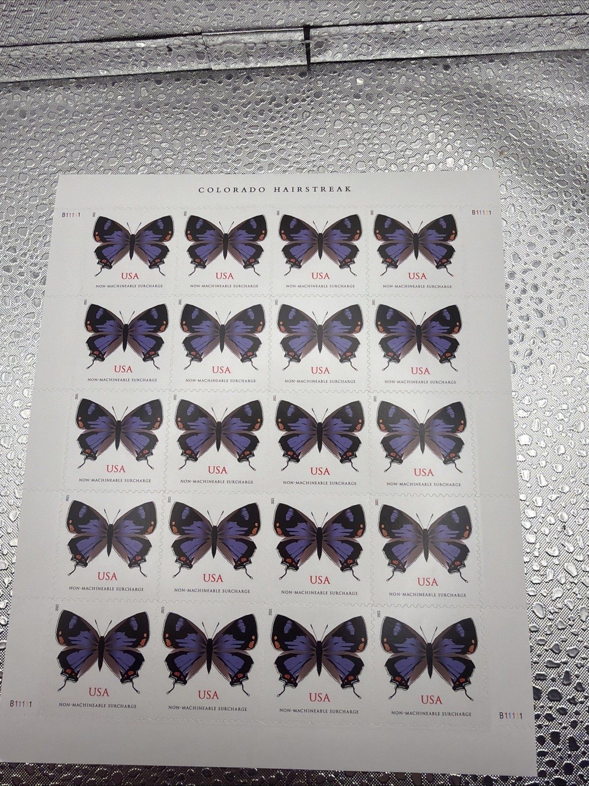 2021 Colorado Hairstreak Non-Machinable 5 Sheets Self-Adhesive MNH 100 Pcs 2021 Colorado Hairstreak Non-Machinable 5 Sheets Self-Adhesive MNH 100 Pcs