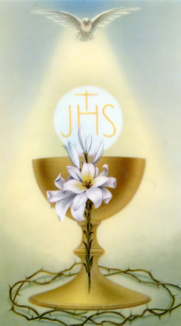 Prayer of Eucharistic Ministers A - Laminated Holy 25 CARDS