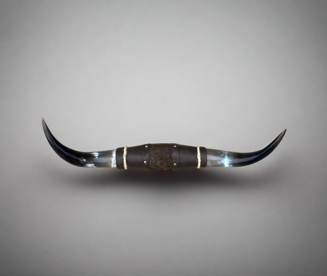 Large “Doble” - Polished Steer Bull Cow Longhorn Wall Mount South West Art Decor