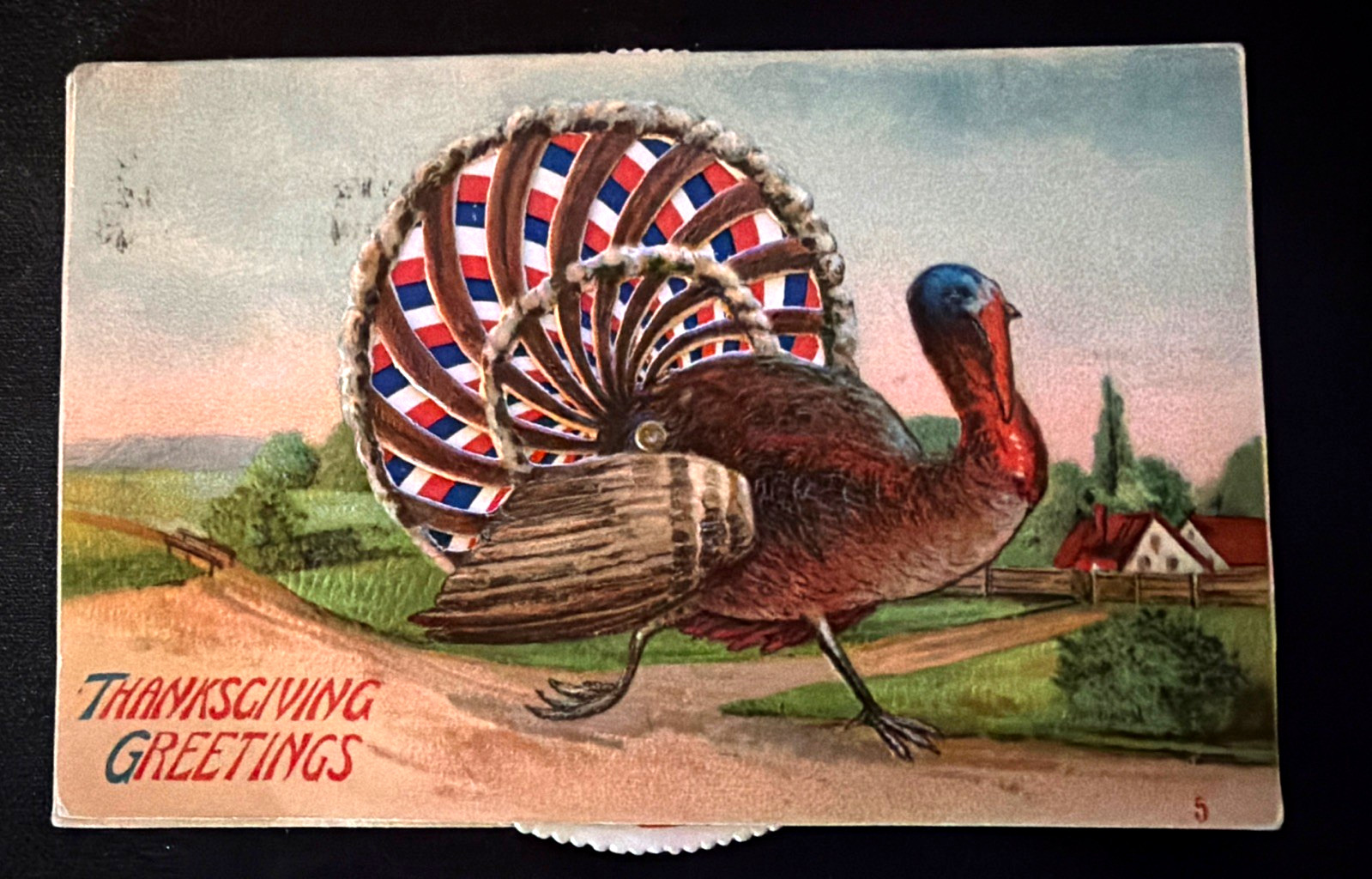 Kaleidoscope Mechanical ~Spinner~Turkey Thanksgiving~Novelty~ Postcard-s503