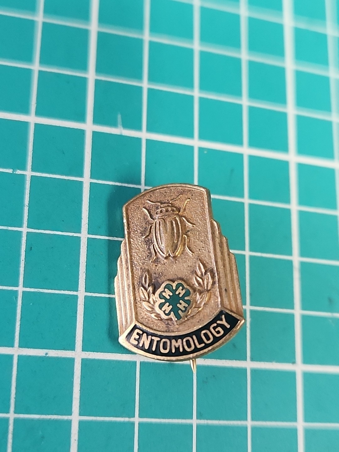 Vtg 4H Entomology Gold Tone Lapel Pin Vtg 4H Entomology Gold Tone Lapel Pin