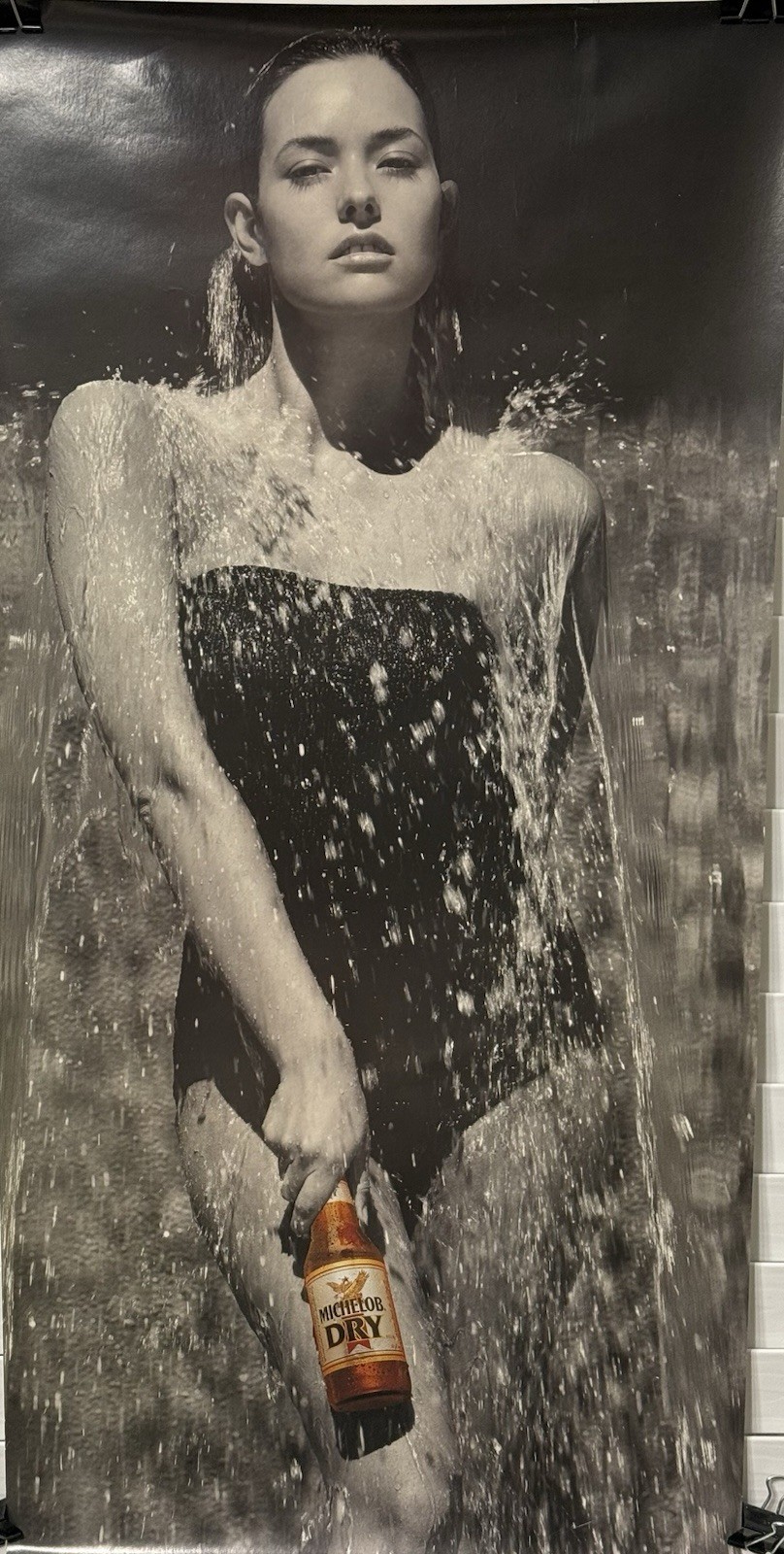 Vintage 1989 MICHELOB DRY ANHEUSER BUSH Waterfall Beer Poster Sexy Girl 30 X 14 Vintage 1989 MICHELOB DRY ANHEUSER BUSH Waterfall Beer Poster Sexy Girl 30 X 14