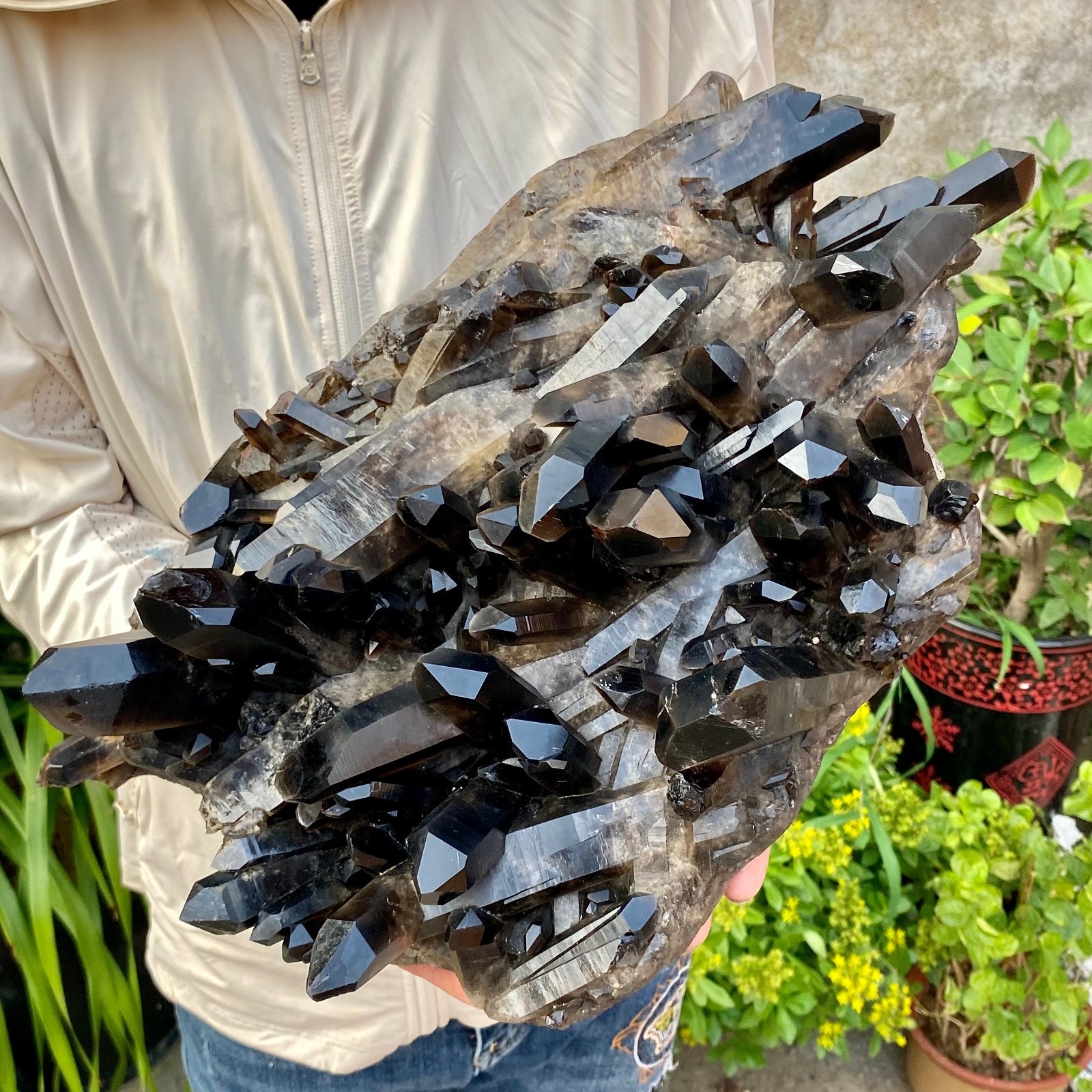 26.45LB Large Natural Smoky Black Quartz Cluster Crystal raw Specimen Healing