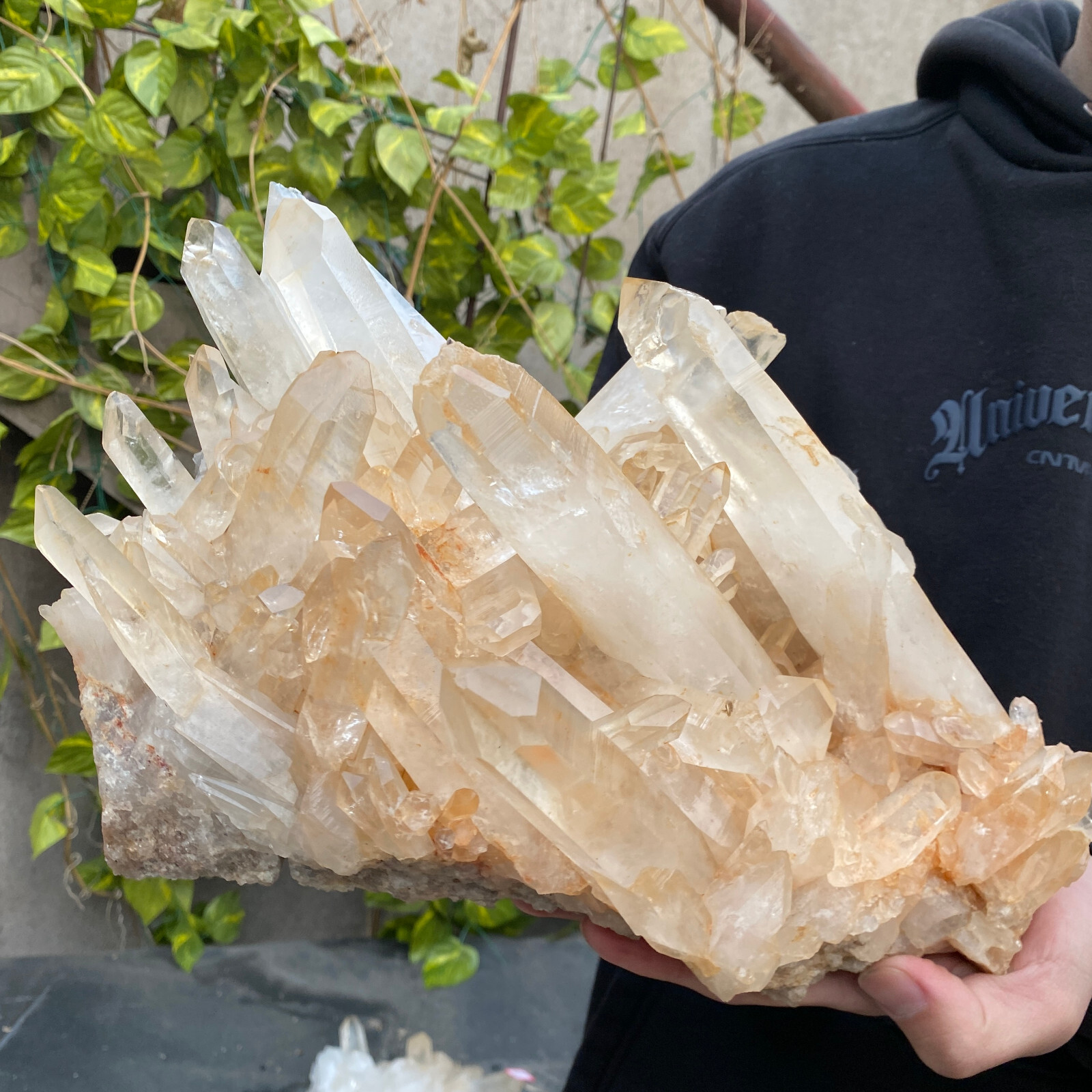 13LB A+Large Natural clear white Crystal Himalayan quartz cluster /mineralsls