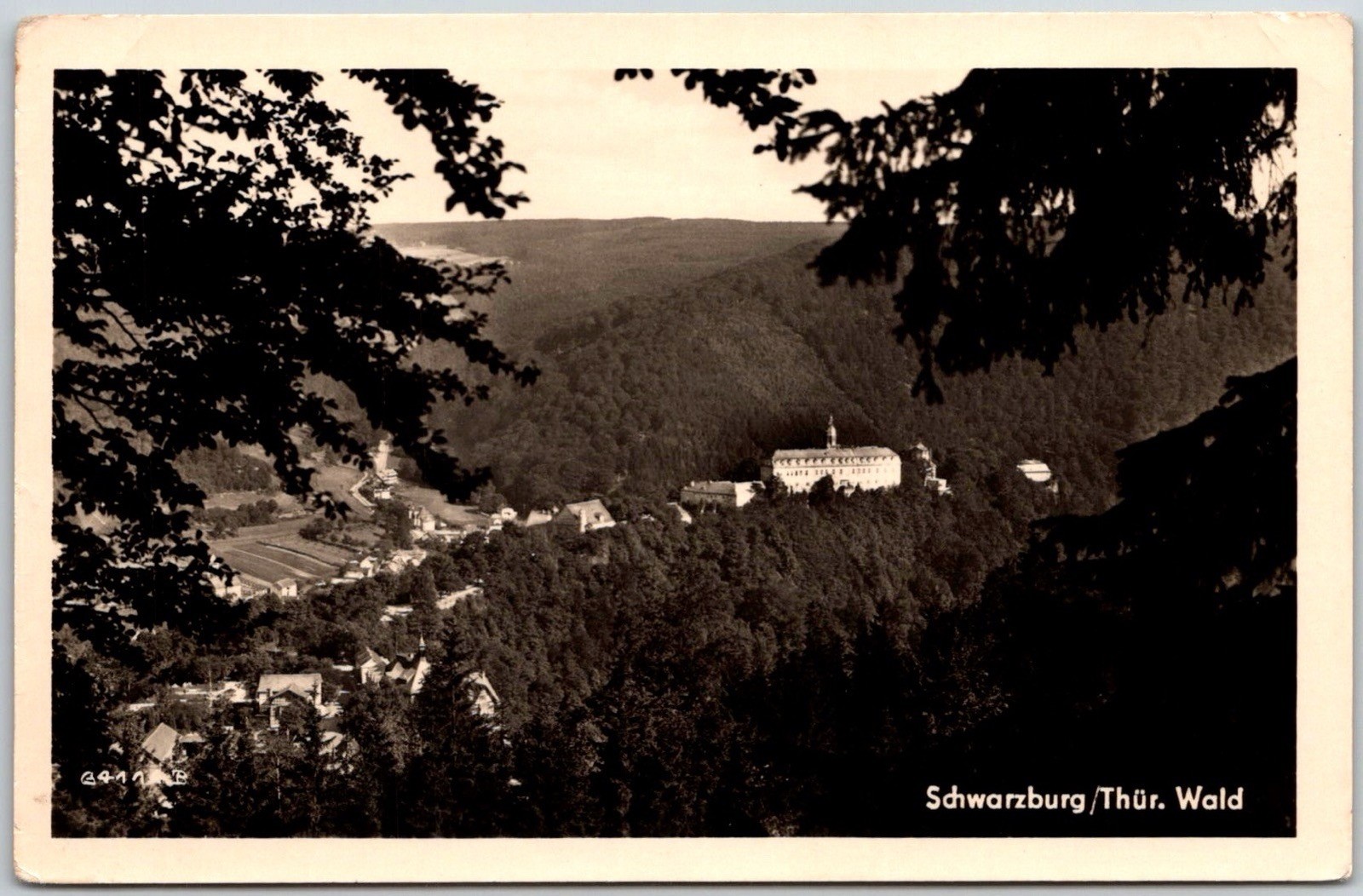 Schwarzburg Castle Thuringian Forest Germany Surrounded Dense RPPC Postcard