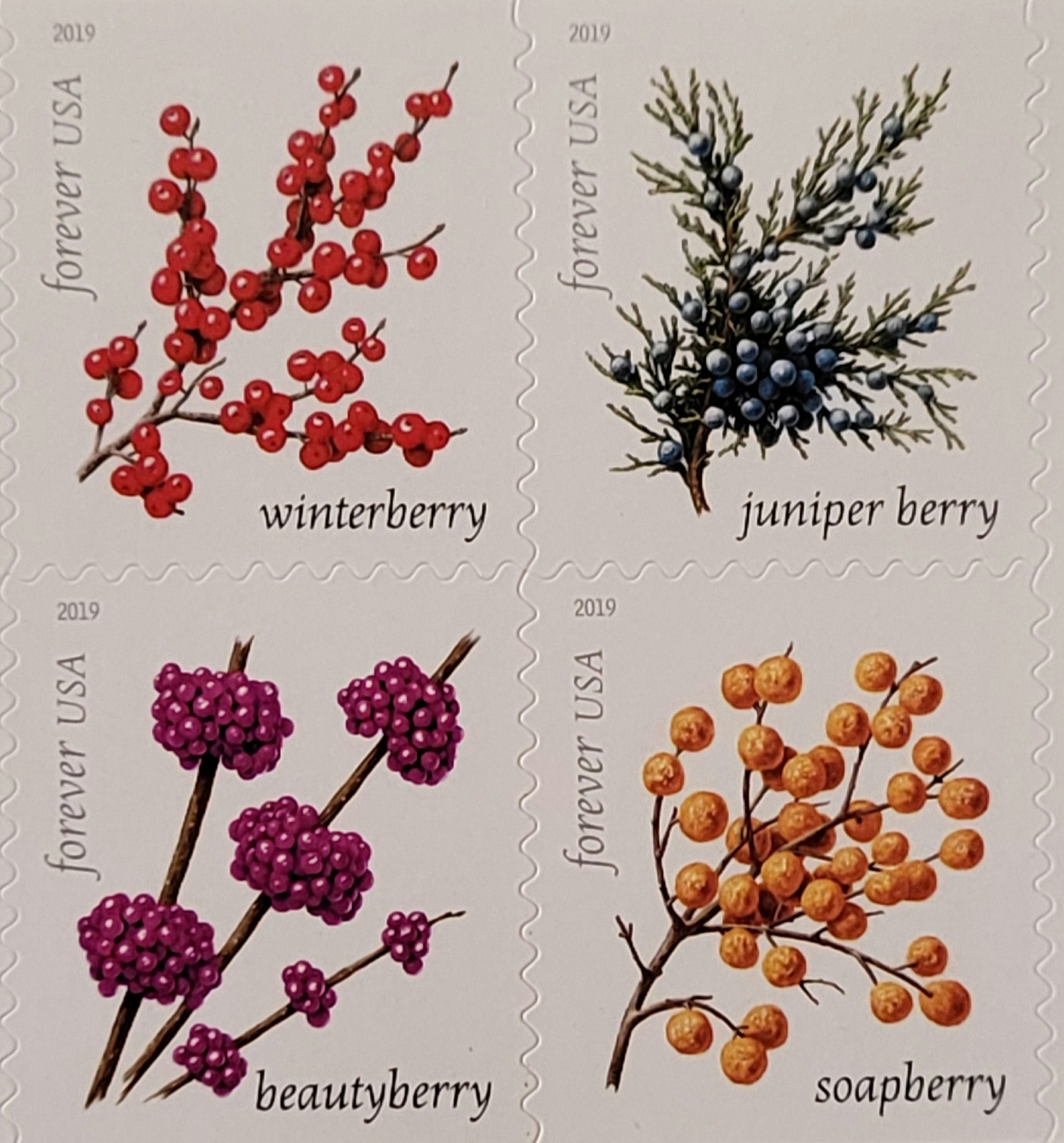 20 FOREVER FIRST CLASS LETTER STAMPS WINTER BERRIES MNH 2019 BOOK PANE 20 FOREVER FIRST CLASS LETTER STAMPS WINTER BERRIES MNH 2019 BOOK PANE
